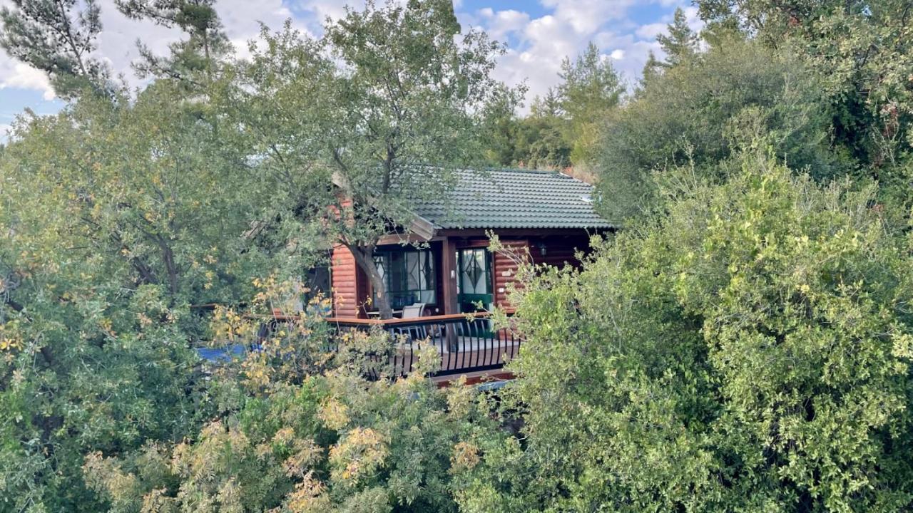 First Light Cabins Амирим Экстерьер фото