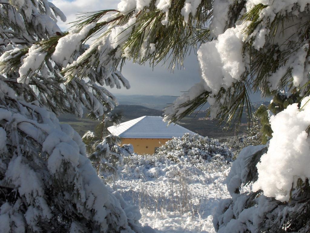 First Light Cabins Амирим Экстерьер фото